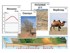 Модель-аппликация "Природные зоны" - fgospostavki.ru - Ногинск