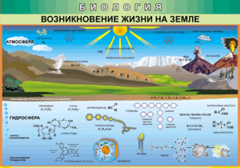 Таблица "Возникновение жизни на земле" (100х140 сантиметров, винил) - fgospostavki.ru - Ногинск