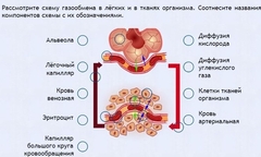 Интерактивные курсы. Биология 9 класс. Расширенный. - fgospostavki.ru - Ногинск