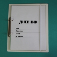 Дневник школьника (с полным набором карточек) - fgospostavki.ru - Ногинск