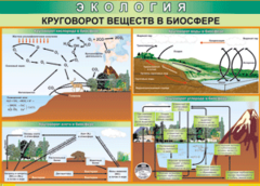 Таблица "Круговорот веществ в биосфере" (100х140 сантиметров, винил) - fgospostavki.ru - Ногинск