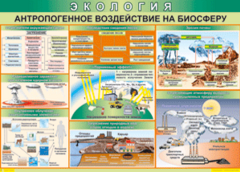 Таблица "Антропогенное воздействие на биосферу" (100х140 сантиметров, винил) - fgospostavki.ru - Ногинск