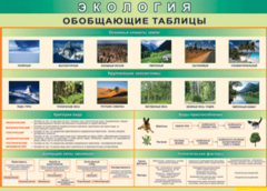 Таблица "Экология. Обобщающие таблицы" (100х140 сантиметров, винил) - fgospostavki.ru - Ногинск
