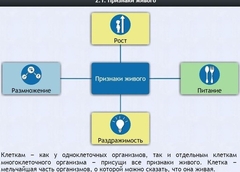 Интерактивные курсы. Биология 5 класс. Базовый - fgospostavki.ru - Ногинск