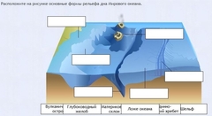 Интерактивные курсы. География 7 класс . Базовый. - fgospostavki.ru - Ногинск