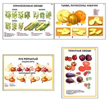 Плакаты ПРОФТЕХ "Ассортимент овощных культур" (12 пл, винил, 70х100) - fgospostavki.ru - Ногинск