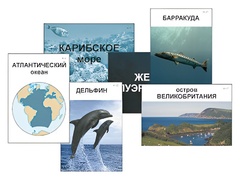 Модель-аппликация "Океаны. Знакомство" (ламинированная) - fgospostavki.ru - Ногинск