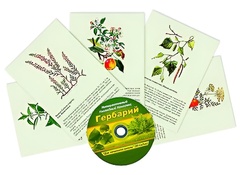 Интерактивный наглядный комплекс "Гербарий "Для начальной школы" - fgospostavki.ru - Ногинск