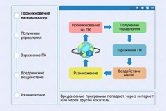 Интерактивные курсы. Информатика 10 класс . Базовый. - fgospostavki.ru - Ногинск