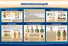 Стенд "Иммобилизация" - fgospostavki.ru - Ногинск
