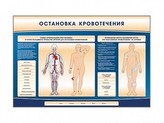 Электрифицированный стенд-тренажер "Остановка кровотечения" - fgospostavki.ru - Ногинск