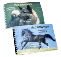 Пособие для слабовидящих - Домашние животные - fgospostavki.ru - Ногинск