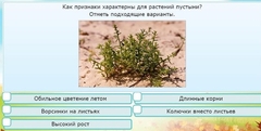 Интерактивные курсы. Окружающий мир 3 класс . Базовый. - fgospostavki.ru - Ногинск