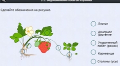 Интерактивные курсы. Биология 7 класс. Расширенный. - fgospostavki.ru - Ногинск