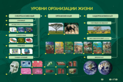 Электрифицированный стенд "Уровни организации жизни" - fgospostavki.ru - Ногинск