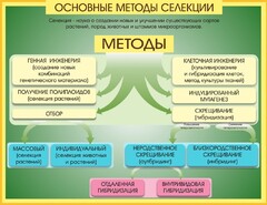 Стенд "Методы селекции и биотехнологии" - fgospostavki.ru - Ногинск