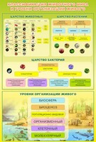 Стенд "Классификация животного мира" - fgospostavki.ru - Ногинск