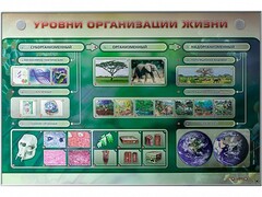 Электрифицированный стенд "Уровни организации жизни" - fgospostavki.ru - Ногинск