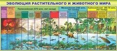 Стенд "Эволюция растительного и животного мира" - fgospostavki.ru - Ногинск