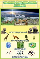 Стенд "Уровни организации живого" - fgospostavki.ru - Ногинск