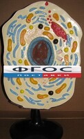 Модель "Клетка животного" - fgospostavki.ru - Ногинск