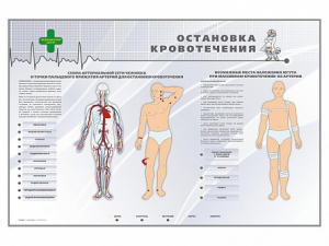 Электрифицированный стенд "Остановка кровотечения" - fgospostavki.ru - Ногинск