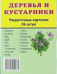 Раздаточные карточки "Деревья и кустарники" - fgospostavki.ru - Ногинск