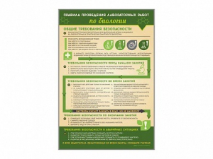 Стенд "Правила выполнения лабораторных работ по биологии" Вариант 1 - fgospostavki.ru - Ногинск