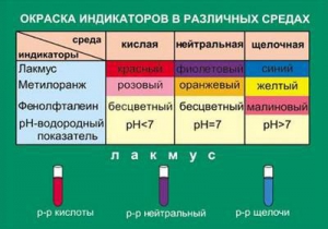 Таблица. Окраска индикаторов в различных средах. - fgospostavki.ru - Ногинск
