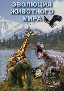 DVD "Эволюция животного мира" - fgospostavki.ru - Ногинск