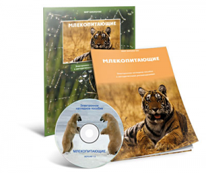 Электронное наглядное пособие «Млекопитающие» - fgospostavki.ru - Ногинск