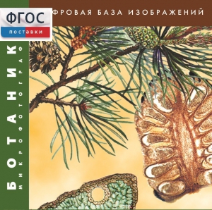 Ботаника. Микрофотографии. (Цифровая база изображений) - fgospostavki.ru - Ногинск