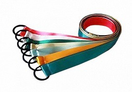 Лента гимнастическая на кольце (1 метр) - fgospostavki.ru - Ногинск