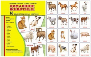 Демонстрационные карточки "Домашние животные" - fgospostavki.ru - Ногинск