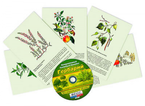 Интерактивный наглядный комплекс "Гербарий "Для начальной школы" - fgospostavki.ru - Ногинск