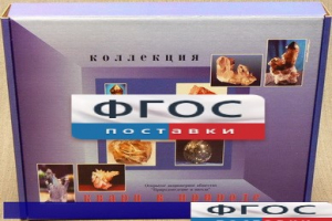 Коллекция "Кварц в природе" - fgospostavki.ru - Ногинск