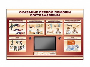 Многофункциональный интерактивный стенд-тренажер "Оказание первой помощи пострадавшим" для учащихся общеобразовательных учреждений - fgospostavki.ru - Ногинск