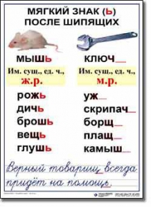 Комплект таблиц по русскому языку для начальной школы. Русский язык 3 класс - fgospostavki.ru - Ногинск
