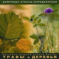 Растения средней полосы России "Травы и Деревья". (Цифровые атласы-определители) - fgospostavki.ru - Ногинск