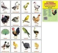 Раздаточные карточки "Птицы домашние и декоративные" - fgospostavki.ru - Ногинск