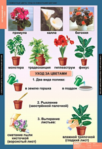 Комплект таблиц. Окружающий мир 1 класс. - fgospostavki.ru - Ногинск