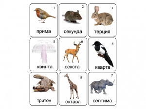 Набор магнитных карточек по музыке "Животные" (9 штук) - fgospostavki.ru - Ногинск