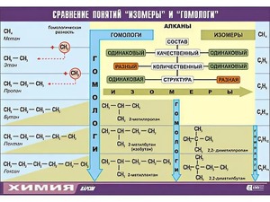Таблица демонстрационная "Сравнение понятий изомер и гомолог" (винил 100x140) - fgospostavki.ru - Ногинск
