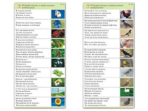 Комплект карточек (10) "Обучающий калейдоскоп. Природа" - fgospostavki.ru - Ногинск
