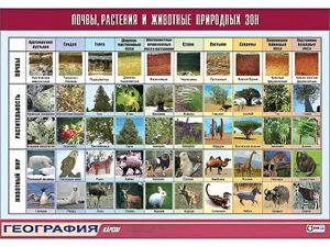 Таблица демонстрационная "Почвы, растения и животные природных зон" (винил 100*140) - fgospostavki.ru - Ногинск
