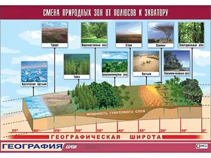 Таблица демонстрационная "Смена природных зон от полюсов к экватору" (винил 100*140) - fgospostavki.ru - Ногинск