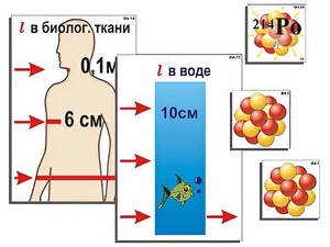 Модель-аппликация "Явление радиоактивности" (ламинированная) - fgospostavki.ru - Ногинск