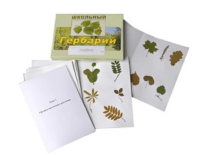 Гербарий "Морфология растений" (6 тем, 30 видов) - fgospostavki.ru - Ногинск