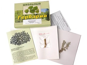 Гербарий "Водоросли. Грибы. Лишайники" (раздаточный) - fgospostavki.ru - Ногинск