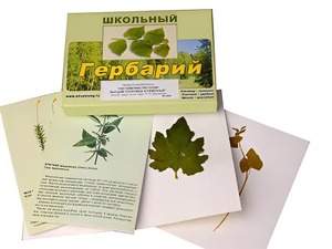 Гербарий "Систематика растений. Высшие споровые и семенные" (раздаточный) - fgospostavki.ru - Ногинск